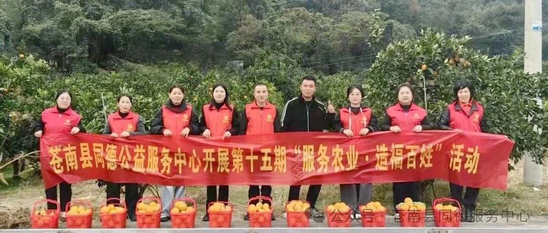 苍南县同德公益服务中心开展十五期助农采摘脐橙活动
