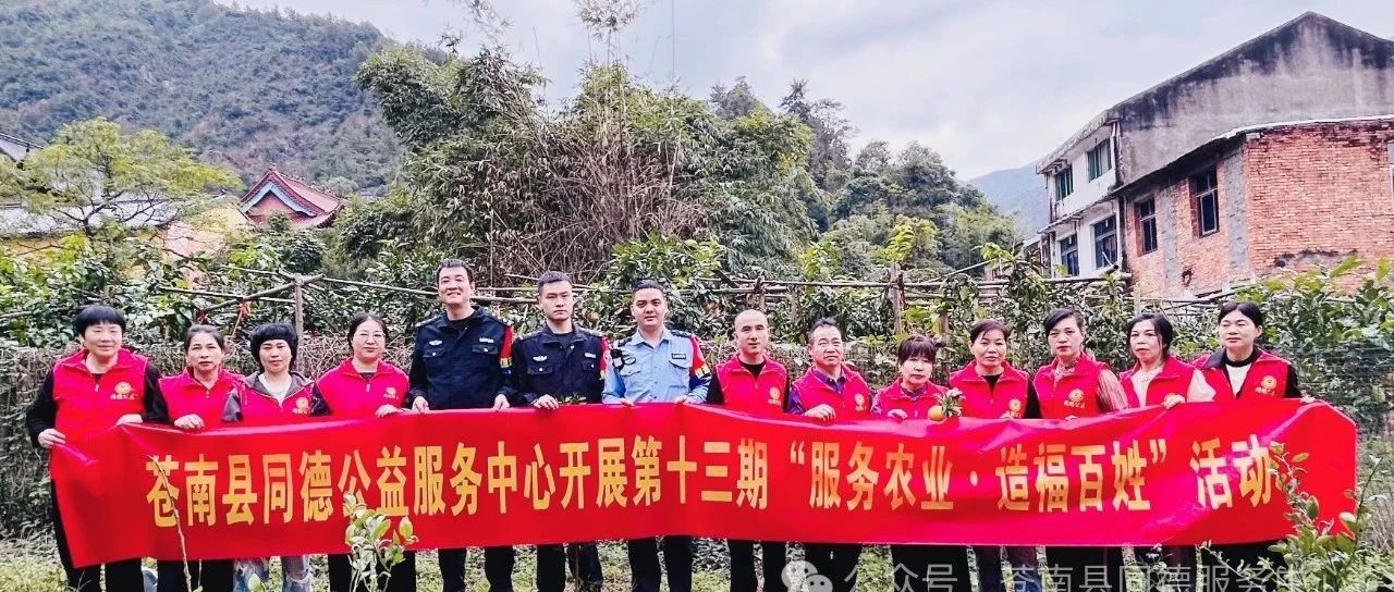 苍南县同德公益服务中心开展”第十三期助农、采摘”红美人”活动。