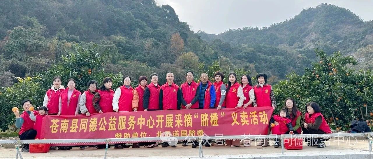 苍南县同德公益服务中心开展“北岙诺国脐橙”采摘义卖活动