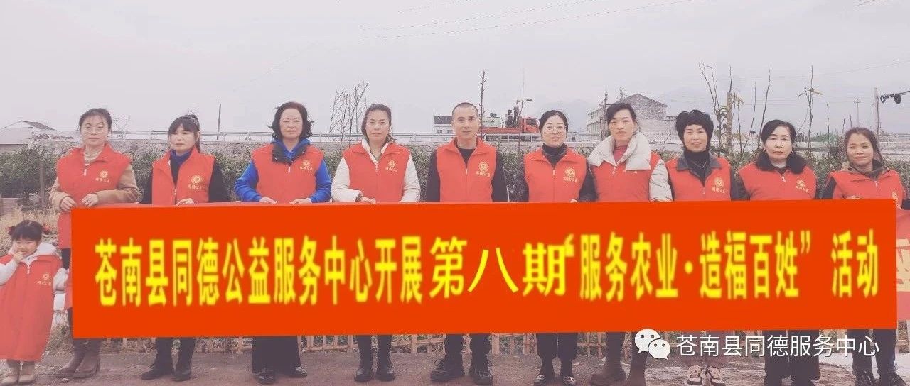 苍南县同德公益服务中心开展第八期”服务农业，造福百姓”、”摘瓯柑”活动！